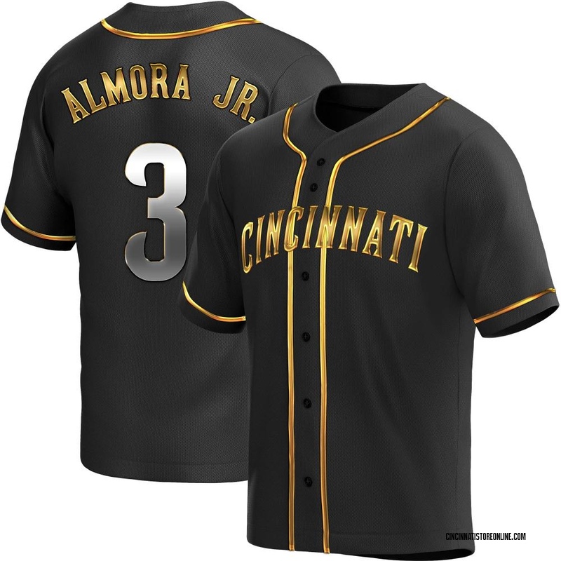 Men Is Cubs Albert Almora Jr 2020 Royal Alternate Jersey in 2023